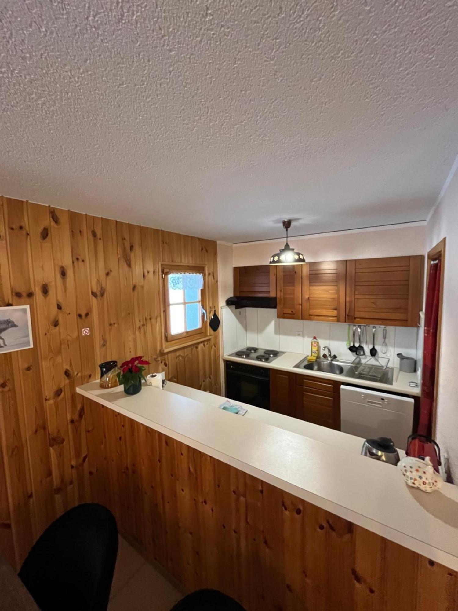 L'Hérensarde, bel appartement avec jardin-terrasse et garage Evolène Exterior foto